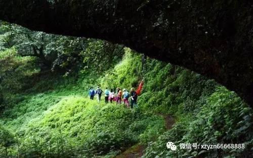 救援小棕兔