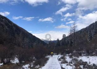 驱逐城堡入侵者选关版