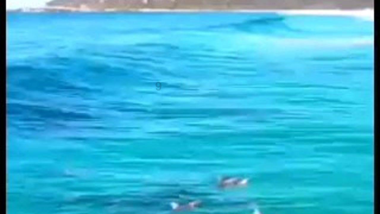 影子忍者传说